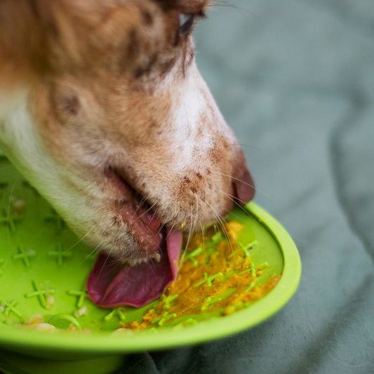 Sniff and Lick Mat - additional angle
