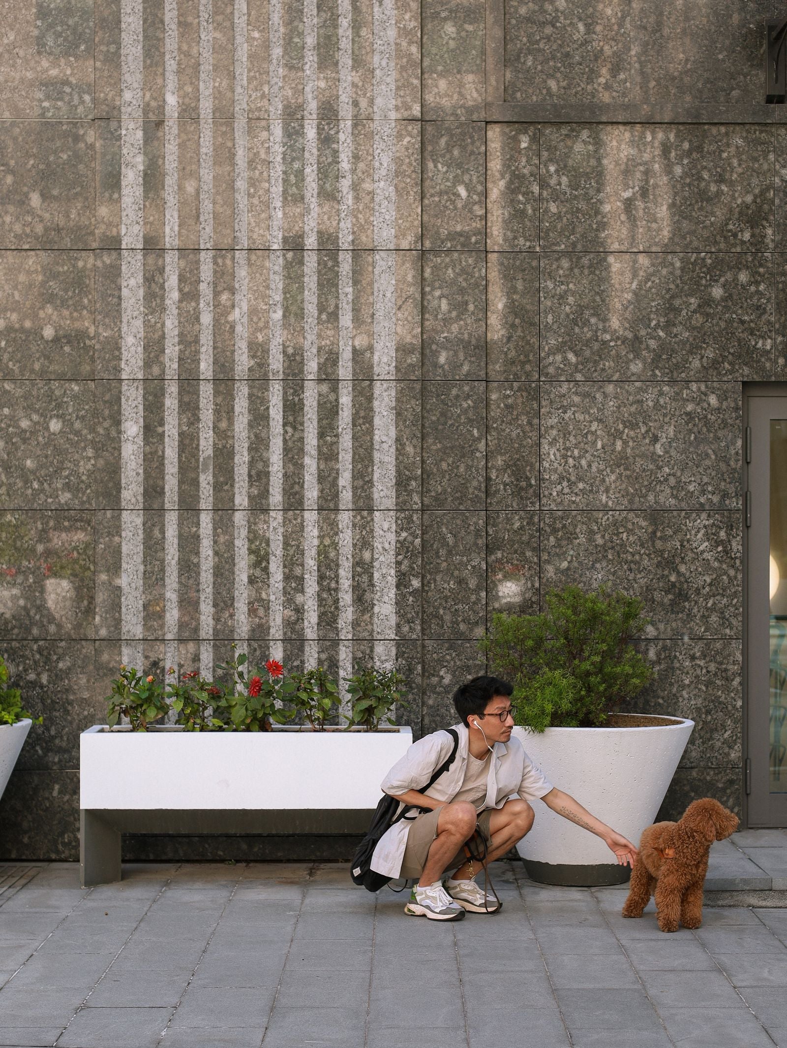 An owner and their dog out and about