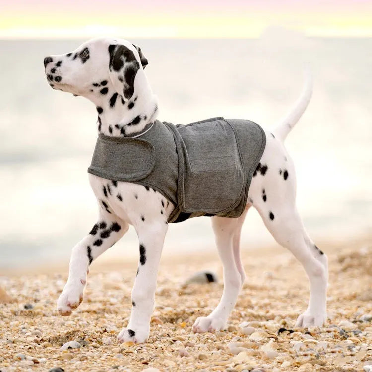 Calm Vest - dog wearing soft grey anxiety relief coat