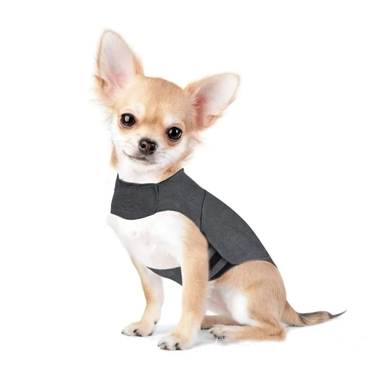 Calm Vest - snug fit on small dog