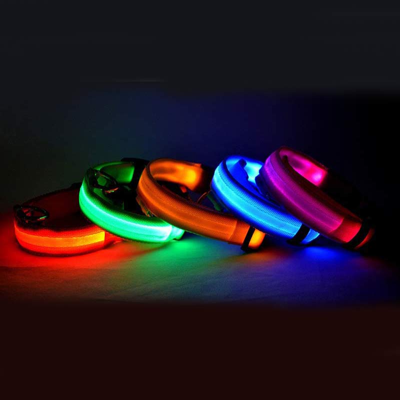 Night Walk Collar curated supplier photo (CJ Dropshipping)