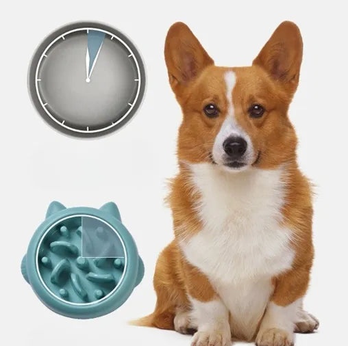 Calm Bowl Slow Feeder - dog eating from bowl