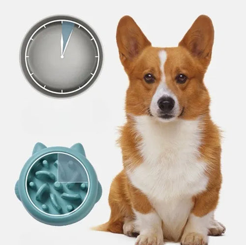 Calm Bowl Slow Feeder - dog eating from bowl