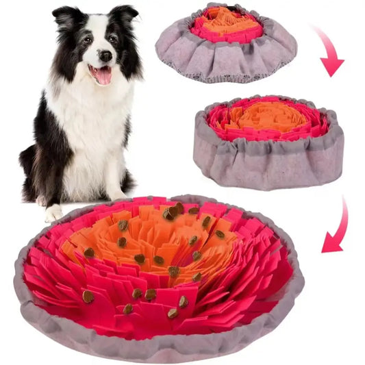 Snuffle Search Mat - colour option with treats
