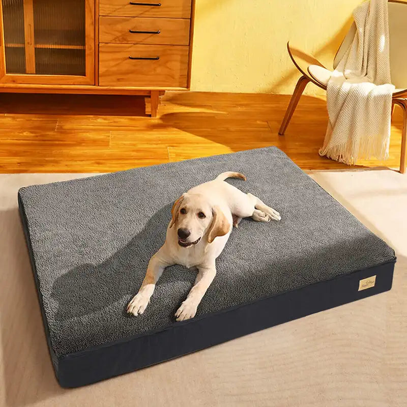 Deep Rest Bed - dog resting on orthopedic bed