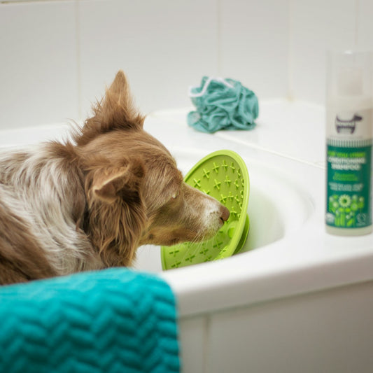 Sniff and Lick Mat - placeholder lifestyle photo, swap for supplier product photo