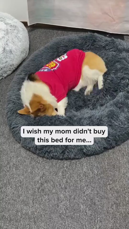 Calm Nest Bed product video